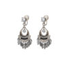 主图-5 The Calm Boho: Grey Crystal Tassel Earrings